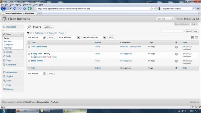 Clean WordPress Theme: Part 2 - Wordpress Setup смотреть онлайн