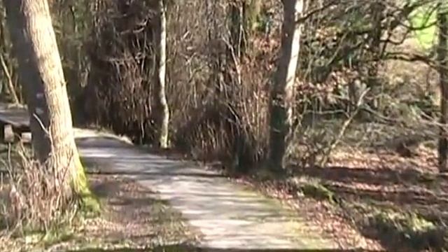 Withybush Woods смотреть онлайн