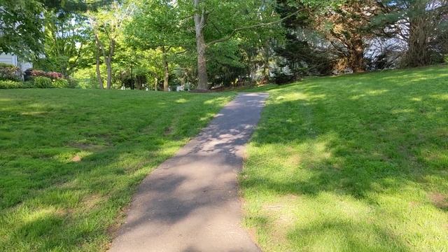 #554. ГРИН КАРТ ЛОТЕРЕЯ: ЧТО ТАКОЕ CASE NUMBER (КЕЙС НОМЕР) И ЕГО ЗНАЧЕНИЕ В ПОЛУЧЕНИИ ГРИН КАРТЫ смотреть онлайн