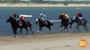 В мире. Уникальные конные скачки. Доброе утро. Фрагмент выпуска от 28.08.2019