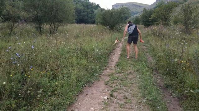 Автопутешествие по Северному Кавказу. Часть 1. VanLife смотреть онлайн