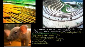 469  Китай сельское хозяйство