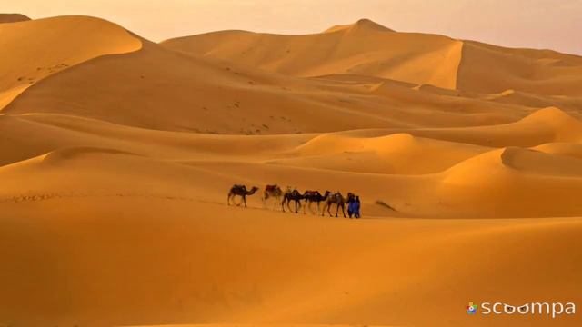 Красоты природы !Пустыня ! смотреть онлайн