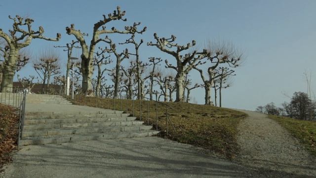 A journey to Herrninsel Prien am Chiemsee смотреть онлайн