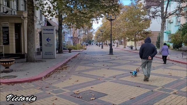 Херсонцы 29 октября. Керчь. Ленина. Рынок. Victoria S смотреть онлайн