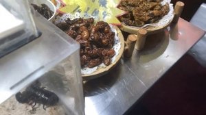 Китай. Город Циндао. Обжорка.