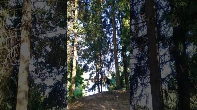 У каждого свой путь. Поэзия осознанности. Красота души. Время для себя. смотреть онлайн
