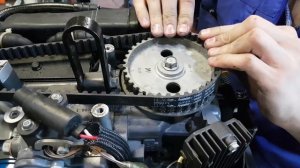 ⚙️??Замена ремня ГРМ на лодочном моторе