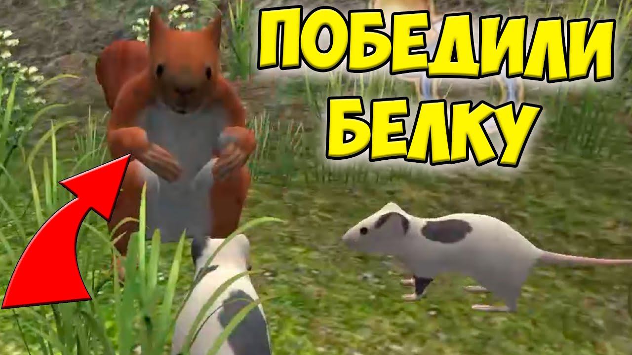 СИМУЛЯТОР МЫШИПрогулка с мышонком Ухаживаю за питомцем смотреть онлайн