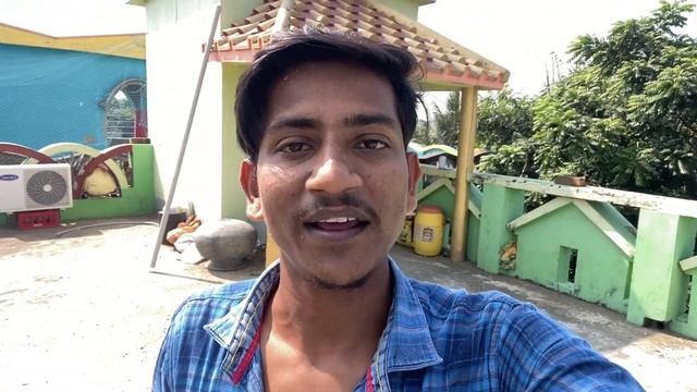 Pura Ghar Ganda Ho Gaya ? Pigeon video || kabootar video смотреть онлайн