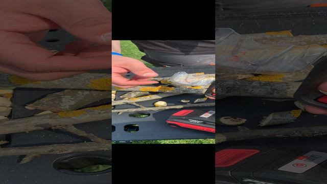 Секаторы P.I.T. смотреть онлайн