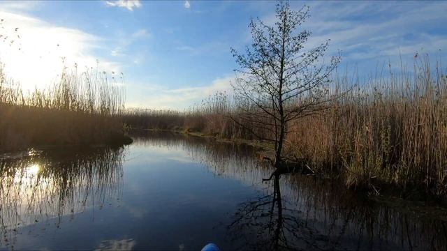 SUP touring - первые САП шаги в 2021г. |р.Мжа Харьковская обл| смотреть онлайн