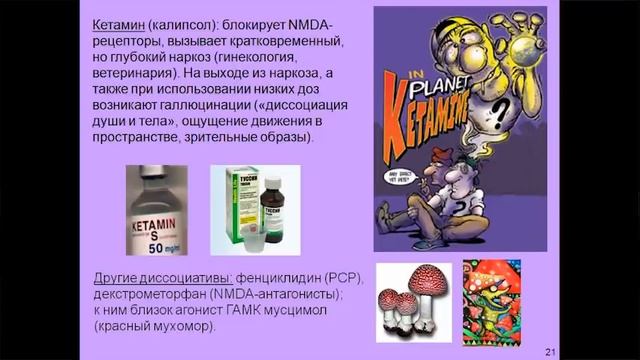 Дубынин Вячеслав - Мозг: другие медиаторы. Глицин, кофеин, каннабиноиды. Курс: Химия мозга смотреть онлайн