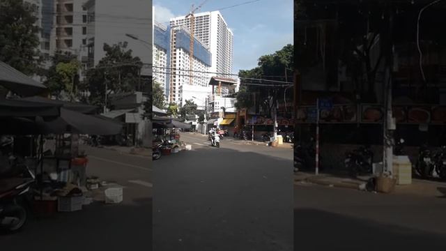 Дерево баньян. Нячанг. Вьетнам. смотреть онлайн