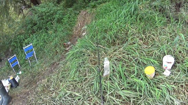 Днестр. Окунь, Голавль. смотреть онлайн