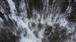 видео охота с квадрокоптером на лося