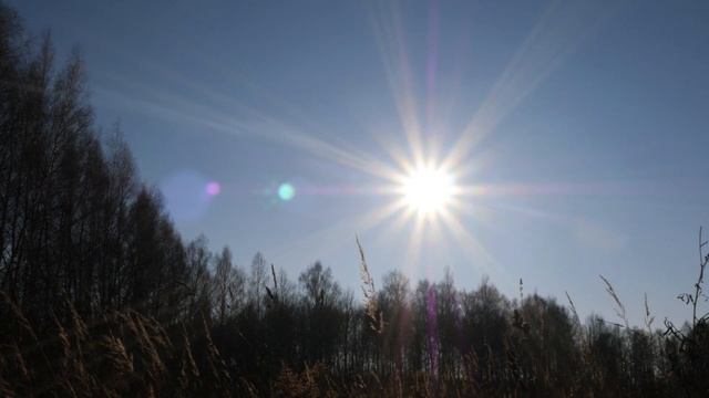 Расслабляющие звуки осени. Солнечный теплый день, шум ветра и пение птиц смотреть онлайн