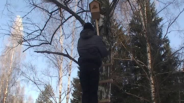 Без названия смотреть онлайн
