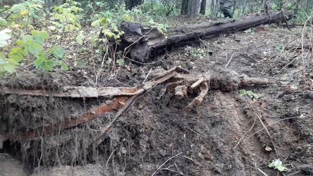Продолжаем копать в лесу смотреть онлайн