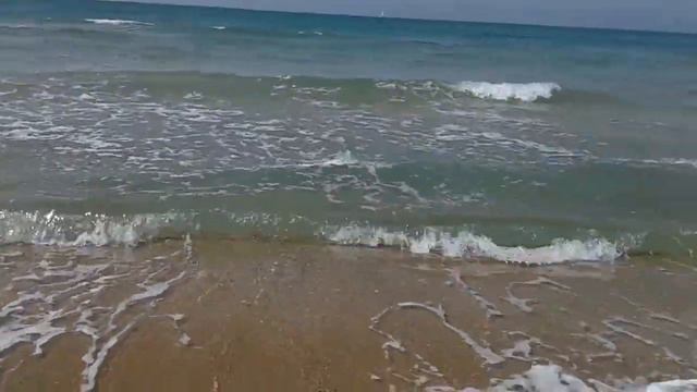 Море ушло во время отлива на 10м смотреть онлайн