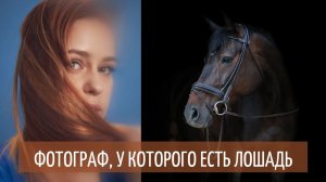 Сколько стоит лошадь и ее содержание