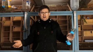 Поилки для волнистых попугаев.