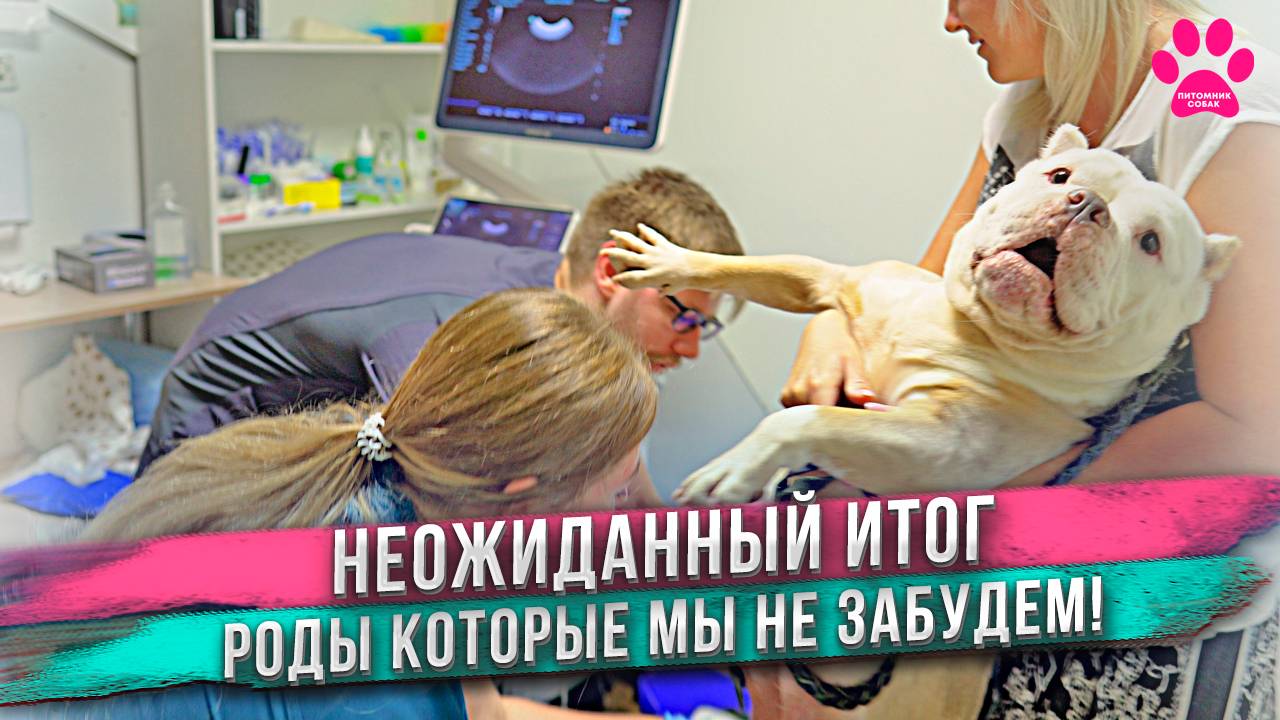 Кто-то должен был жить, но не случилось... смотреть онлайн