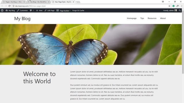 Set page as homepage instead of Blog in Astra Theme смотреть онлайн
