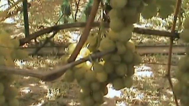 Кеша 1 2011 смотреть онлайн