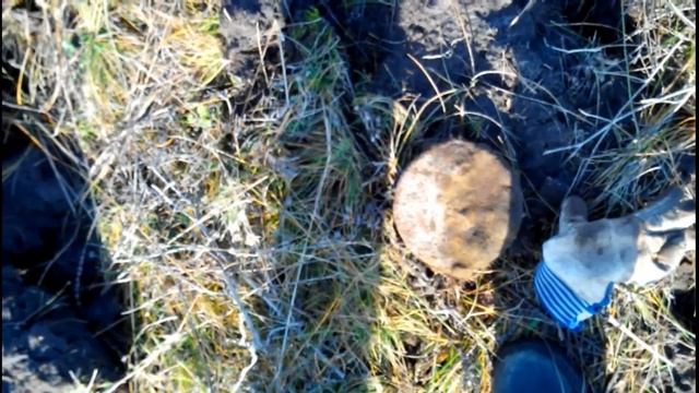 ПЕРВЫЙ ВЫХОД С НОВЫМ МД #Garrett At Gold. #NEW DEVICE Garrett At Gold.