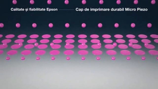 Imprimanta Epson L110, L210, L300, L355, L550, L800 смотреть онлайн