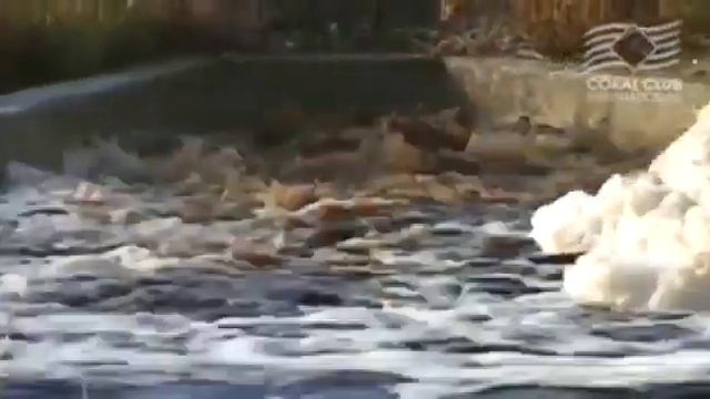 28 октября 2023 г. смотреть онлайн