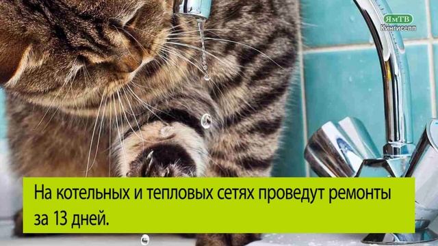 Отключение горячей воды смотреть онлайн
