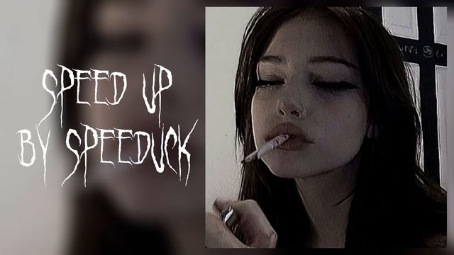 MACAN, SCIRENA - IVL ????? ?? смотреть онлайн