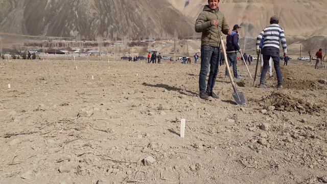 Кор дар сангистон смотреть онлайн