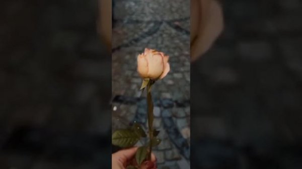 Ню. Я руки твои целовал...