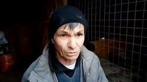 Натоптыш на лапах кур тяжелых пород. Пододерматит, шмель.