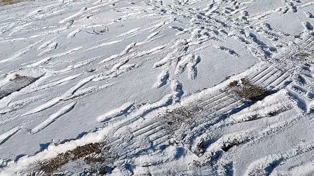 Обкатка двигателя Лончин LC 192FD 20 л с смотреть онлайн