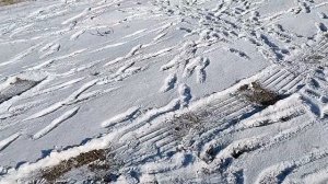 Обкатка двигателя Лончин LC 192FD 20 л с