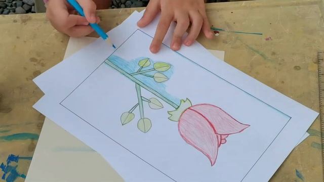 ESP PT 1stQ - Drawing смотреть онлайн