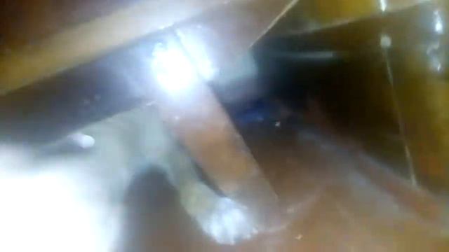 Собака охраняет философский камень смотреть онлайн