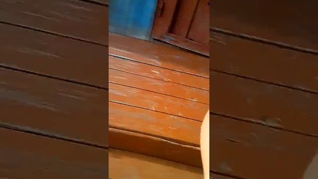 Побег от вики блин сейчас здохну смотреть онлайн