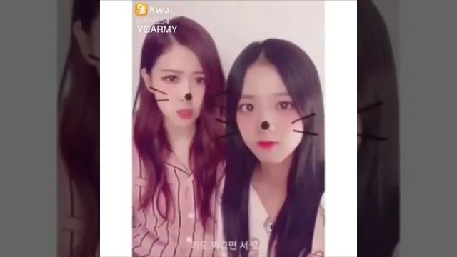BLACKPINK rose and Jisoo funny acting moment смотреть онлайн
