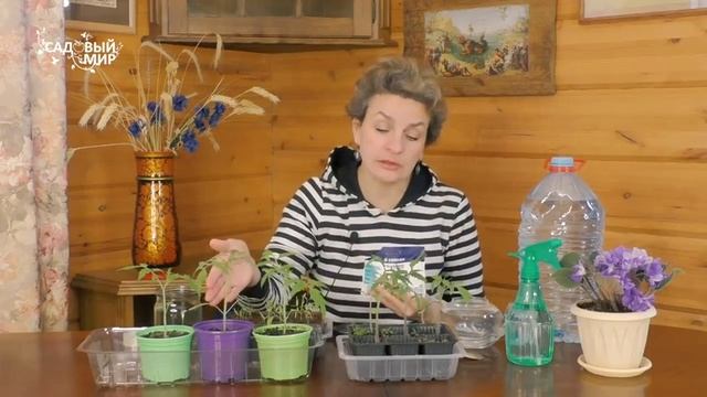 Фертика LeafPower для рассады – мгновенный эффект смотреть онлайн