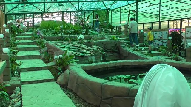 Цветы, ягоды и Зелёный Слон. смотреть онлайн