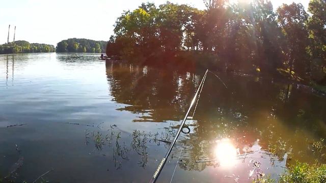 Fishing From the Bank - Multispecies Fishing With Float and Worm смотреть онлайн