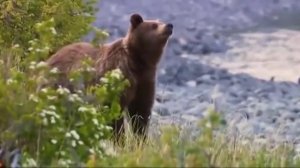 Россия от края до края. Сибирь.