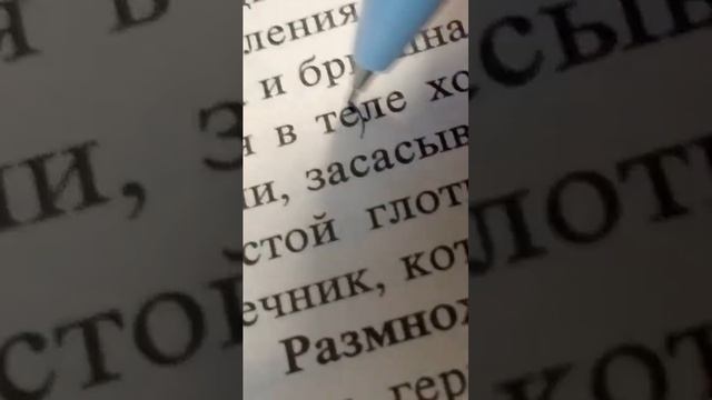 ты знаешь кому это отправить /видео мое /автор lina-like смотреть онлайн