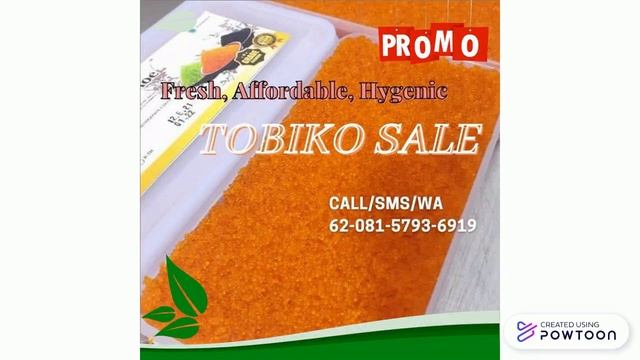 62-081-5793-6919, Tobiko Indonesia Jakarta - Supplier Flying Fish Roe, Dry Tobiko, Orange Tobiko смотреть онлайн