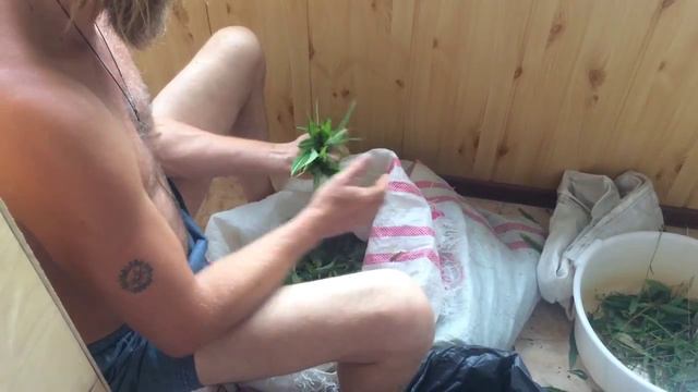 Мнем Иван чай смотреть онлайн